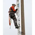 ZARGES Mast-Oberleiter 10 Spr., H 2.800mm, Anzahl Leiterteile 1 Produktbild img4 S