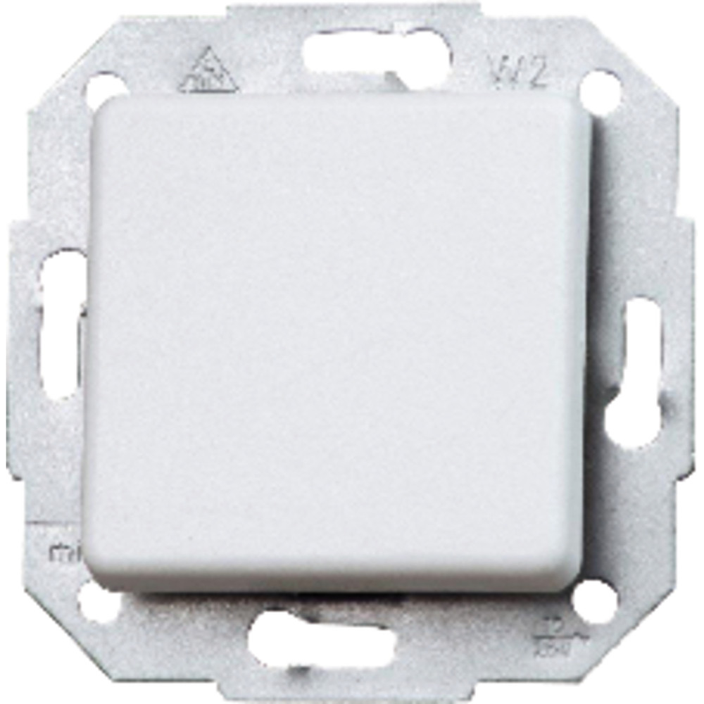 Kopp Taster 10 AX, 250 V EUROPA, arktis Produktbild img1 L