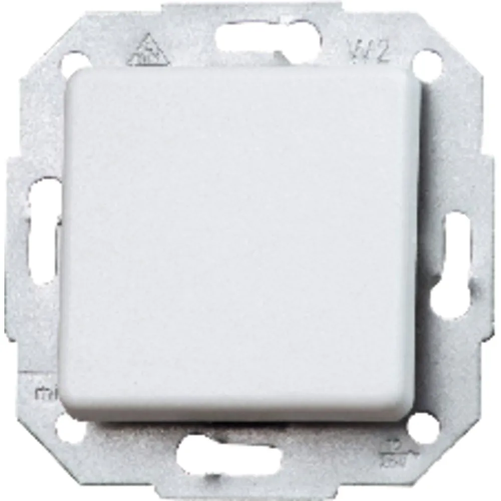 Kopp Taster 10 AX, 250 V EUROPA, arktis Produktbild img1 L