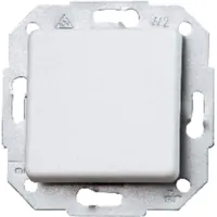 Kopp Taster 10 AX, 250 V EUROPA, arktis Produktbild