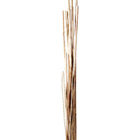 Prima Flora Tonkinstab Produktbild