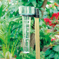 Prima Flora Regenmesser mit Halter, 25cm, grün Produktbild
