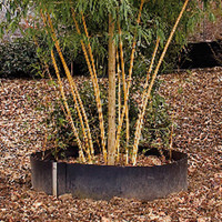 Prima Flora Bambus-Wurzelsperre mit Schiene, 3,2 x 0,8m,sz Produktbild