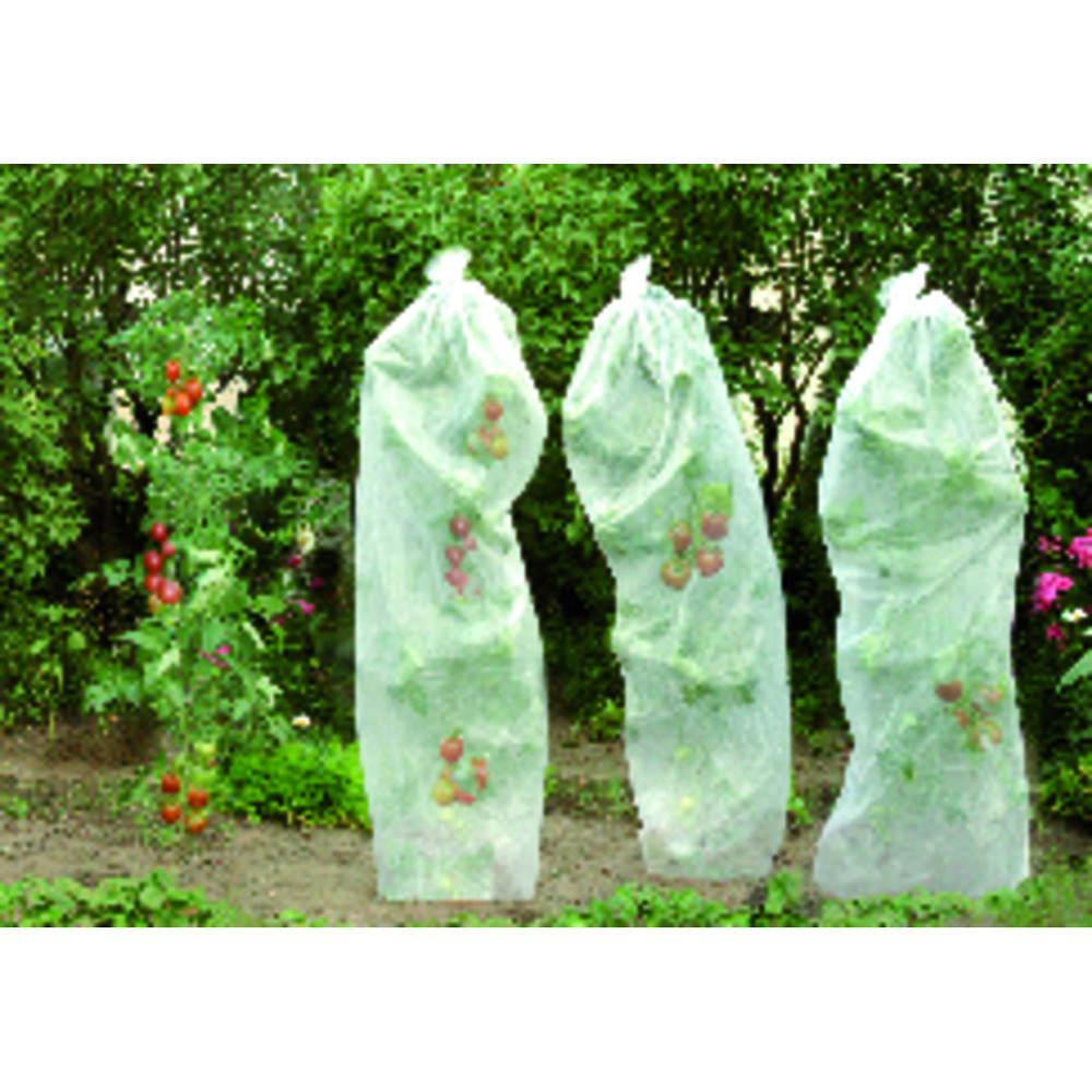 floraworld Tomatenreifevlies 0,8x5m 17g Produktbild img1 L