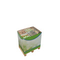 floraworld Display Mause- u. Rattenfallen Produktbild