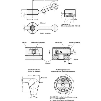 Produktbild von Ganter Norm® - Rasthebel, Stahl (215-54-K12-A)