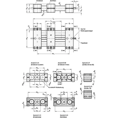 Produktbild von Ganter Norm® - Doppelrohr-Lineareinheiten, Einzelschlitten (491-40-100-R1-SCR)