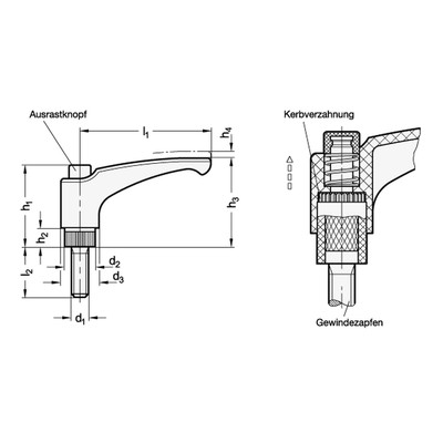 Produktbild von Ganter Norm® - Verstellbare Klemmhebel, Kunststoff, Gewindestift Edelstahl, mit