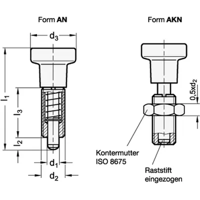 Produktbild von Ganter Norm® - Edelstahl-Rastbolzen (613-10-AKN-NI)