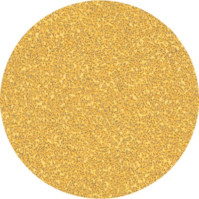 Produktbild von Bosch - EXPERT C470 Schleifpap. o. Löcher f. Winkelschl. u. Bohr., 125&nbsp;mm, G 40