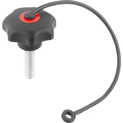 Produktbild von KIPP - STERNGRIFF ÄHNLICH DIN6336 MIT SICHERUNGSBAND D=M06X40, D1=25, FORM:LS, 