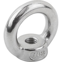 KIPP RINGMUTTER FEST ÄHNLICH DIN582, M20, EDELSTAHL 1.4401 BLANK Produktbild