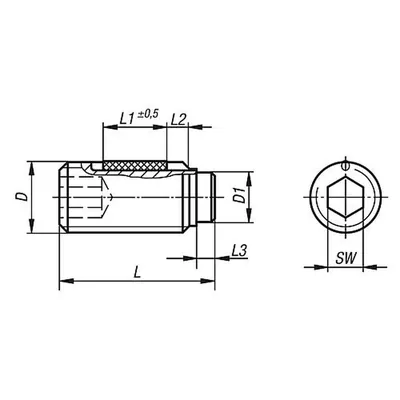 Produktbild von KIPP - DRUCKSCHRAUBE OHNE KOPF, MIT GEWINDESICHERUNG M05X31, SW=2,5, STAHL 10.9