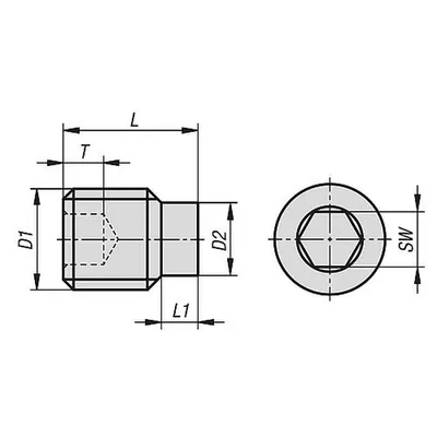 Produktbild von KIPP - GEWINDESTIFT M.INNENSECHSKANT U.ZAPFEN DIN EN ISO4028 M16X40, STAHL 45 H