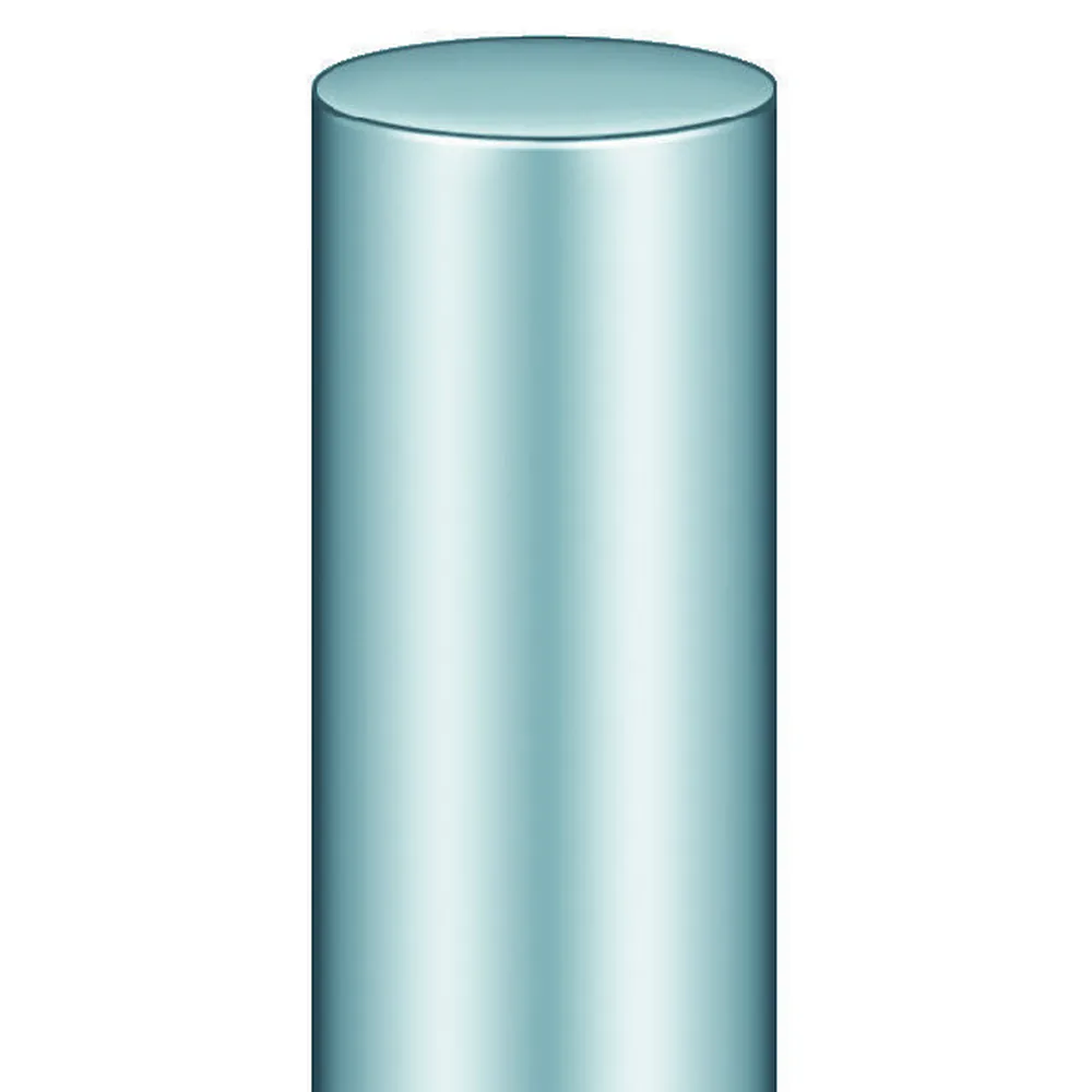 SIMONSWERK FT-Band, BAKA® C 2, 2tlg., mit festem Stift,L 100mm, DL, Stahl verzinkt Produktbild img2 L