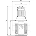 Produktbild von RIEGLER - Druckregler »SYNTESI«, BG1, ohne Buchsen, 0…4 bar, o. Mano. (5610R120