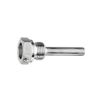 RIEGLER Schutzrohr zum Einschrauben, G 1/2, L1 = 63 mm, Kupferlegierung (SR 01) Produktbild