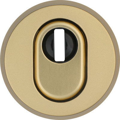 Abus Zt-Si-Schl.ros., RHZS415 Ek, Profilzylinder Gelocht, RH15, Aluminium, F3 Eloxiert