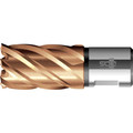 BDS HSS-Kernbohrer VarioPlus ø41 x 30mm Produktbild