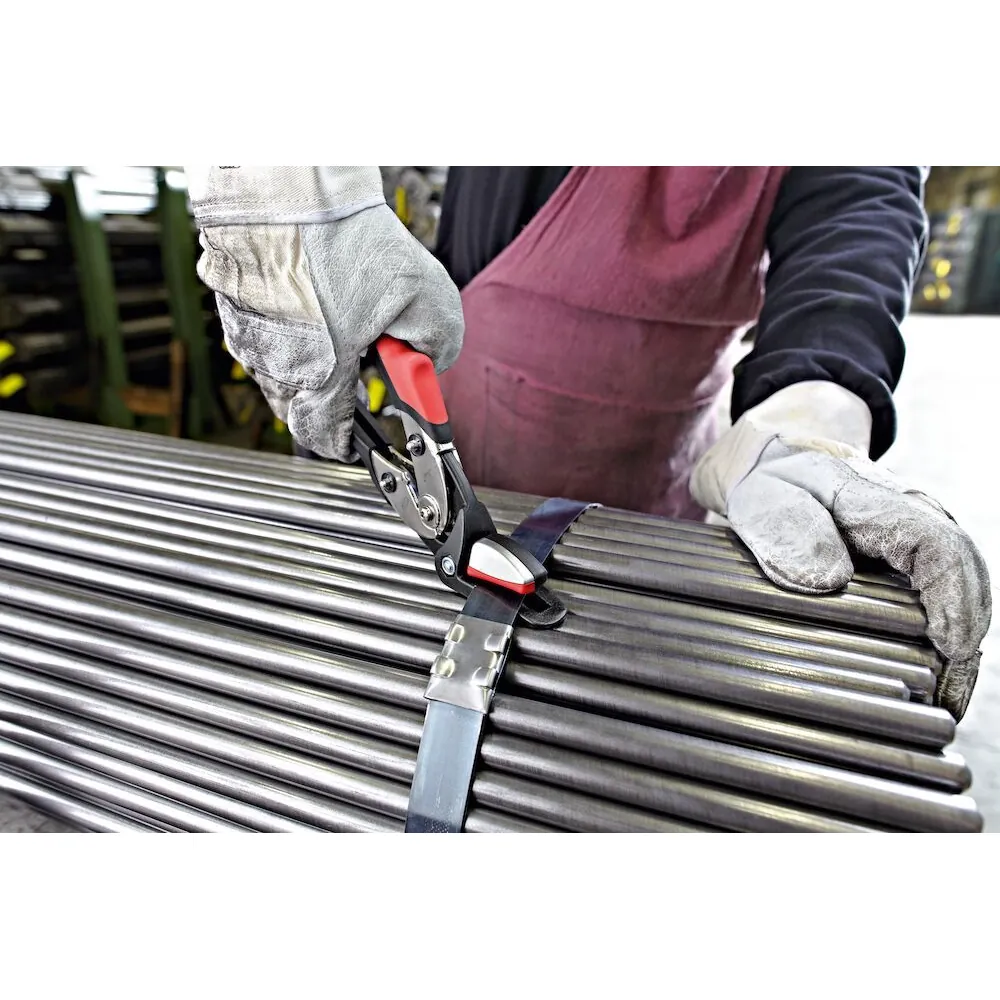 Erdi Bandeisenschere 260mm mit Niederhalter Produktbild img5 L