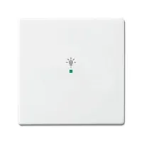 Produktbild von Busch-Jaeger - Tastwippe 1f free@home std-ws glz Kst Thermopl
