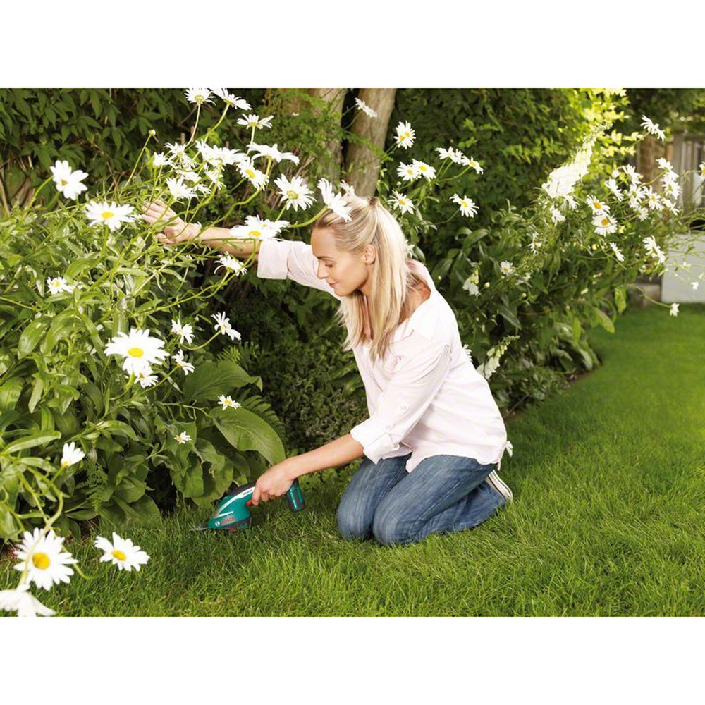 Bosch Akku-Grasschere AGS 10,8 LI Produktbild img5 L