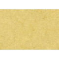 Zanders Elefantenhaut, A4, chamois, 110g/m², Pck=100Bl, f. Inkjet, Laser, Farblaser, Kop Produktbild img1 S