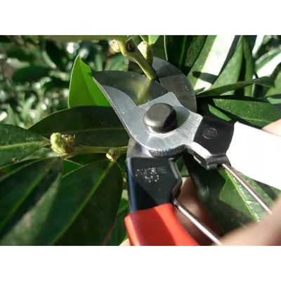 Produktbild von Okatsune - 103 Gartenschere für allgemeine Zwecke