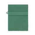 James & Nicholson Bio Waschhandschuh 15 x 21cm MB440 Produktbild