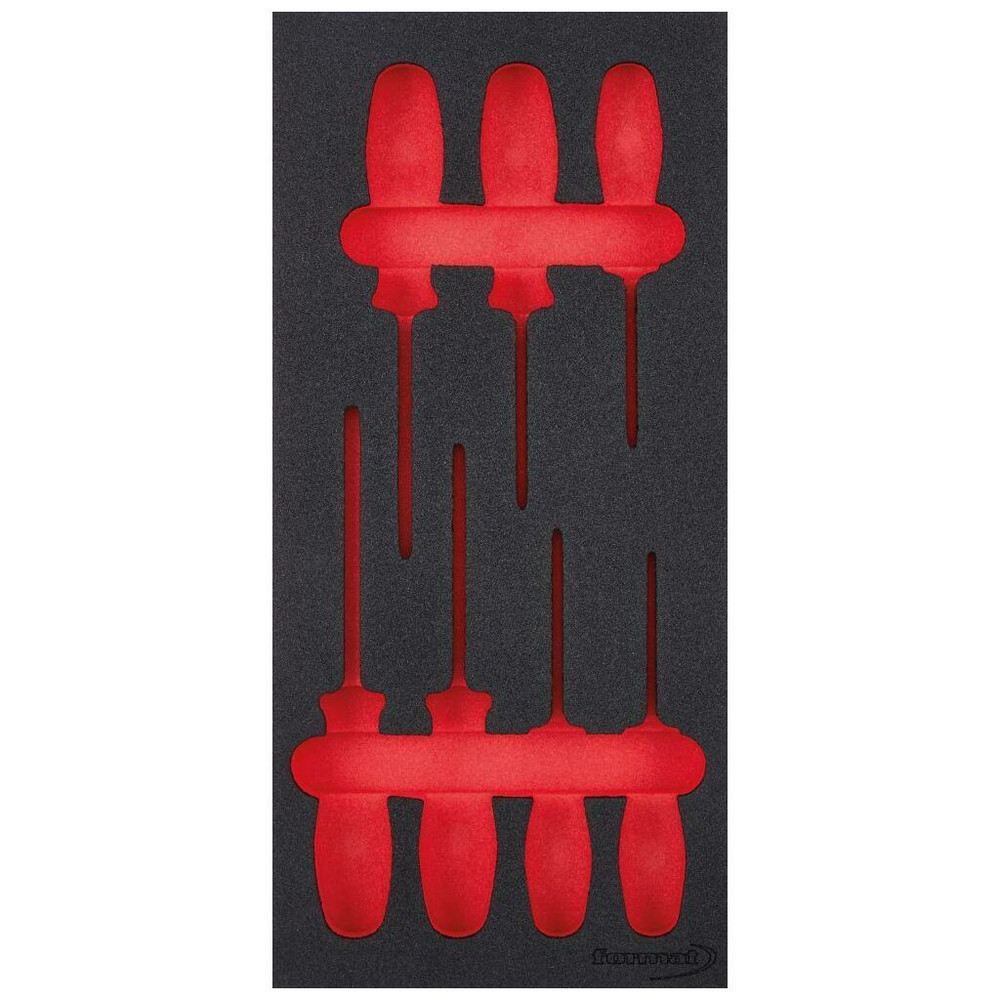 FORMAT Werkzeugmodul 1/3 leer für Schraubendreher für TORX® Produktbild img1 L