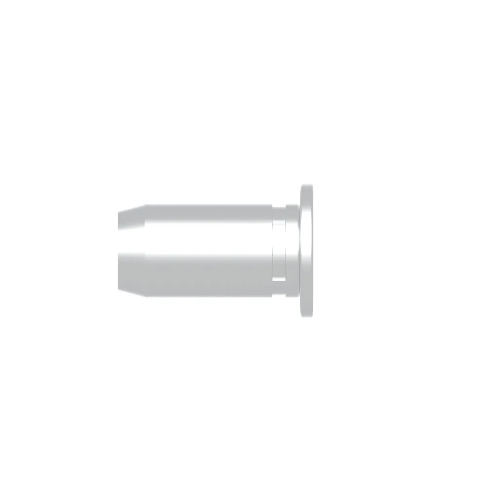 GESIPA Blindnietmuttern PolyGrip Edelstahl-A2 Flachrundkopf Produktbild img1 L