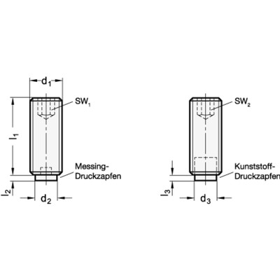 Produktbild von Ganter Norm® - 913.3-M8-8-KU Gewindestifte mit Messing- / Kunststoff-Zapfen, St
