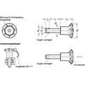 Produktbild von Ganter Norm® - 113.5-6-20 Edelstahl-Kugelsperrbolzen, mit Kunststoff-Knopf, Bol