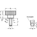 Produktbild von Ganter Norm® - 421.10-M10-45-KU Rändelhohlschrauben mit mit Messing- / Kunststo