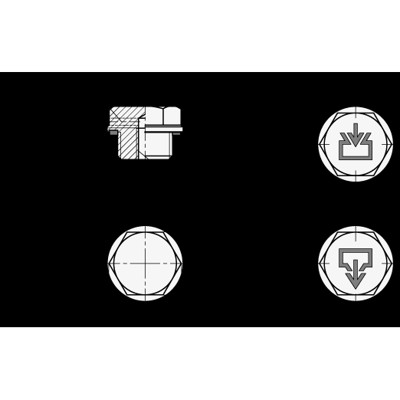 Produktbild von Ganter Norm® - 741-50-G11/4-AS-2 Verschlussschrauben mit und ohne Symbol, Alumi