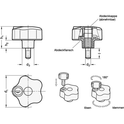 Produktbild von Ganter Norm® - 5337.9-63-M8-20-SU Sicherheits-Sterngriffschrauben, Kunststoff