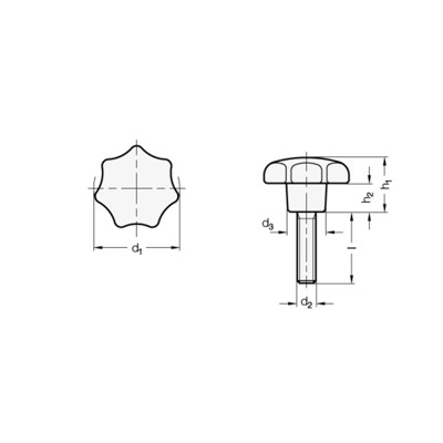 Produktbild von Ganter Norm® - 6336.5-ST-63-M12-30 Sterngriffschrauben, Kunststoff, Schraube Ed