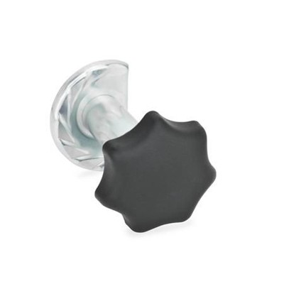 Produktbild von Ganter Norm® - 117-SG-T2-Z4 Türverriegelungen