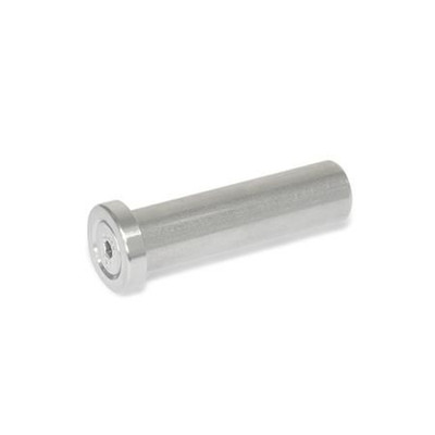 Produktbild von Ganter Norm® - 2342-NI-20-60-B-1 Edelstahl-Bolzen