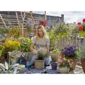Produktbild von GARDENA - city gardening Pflanzmatte L