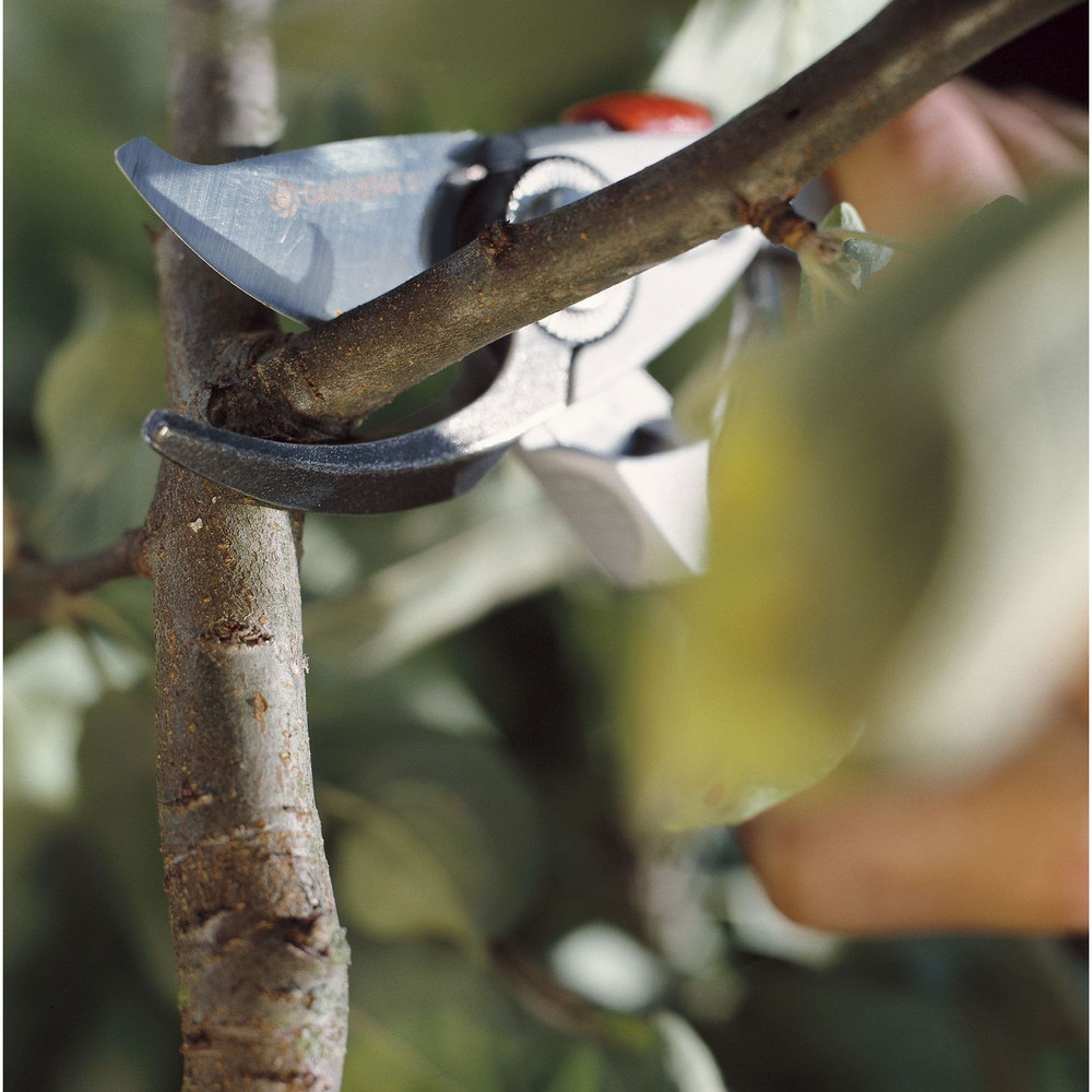 GARDENA Alu-Gartenschere B+/L Produktbild img6 L