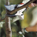 GARDENA Alu-Gartenschere B+/L Produktbild img6 S