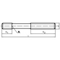 Produktbild von HALDER - Stiftschrauben, DIN 6379, für Muttern für T-Nuten/Güte 8.8 | d=M16 / l