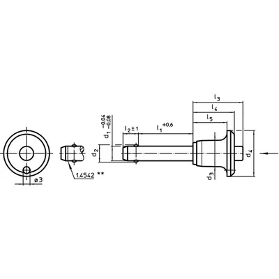 Produktbild von HALDER - Kugelsperrbolzen, selbstsichernd, mit Pilzgriff | d1=12 mm / l1=40 mm 