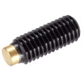 Produktbild von HALDER - Druckschrauben, mit Messingbolzen | d1=M12 / l1=22,5 mm / Vergütungsst