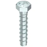 MULTI-MONTI-plus S 16,0 x 80, Sechskantkopf, A2K, 25 St. Produktbild
