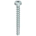 MULTI-MONTI-plus P 6,0 x 30, Rundkopf, T-Drive, A2K, 200 St. Produktbild
