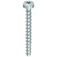MULTI-MONTI-plus P 6,0 x 30, Rundkopf, T-Drive, A2K, 200 St. Produktbild