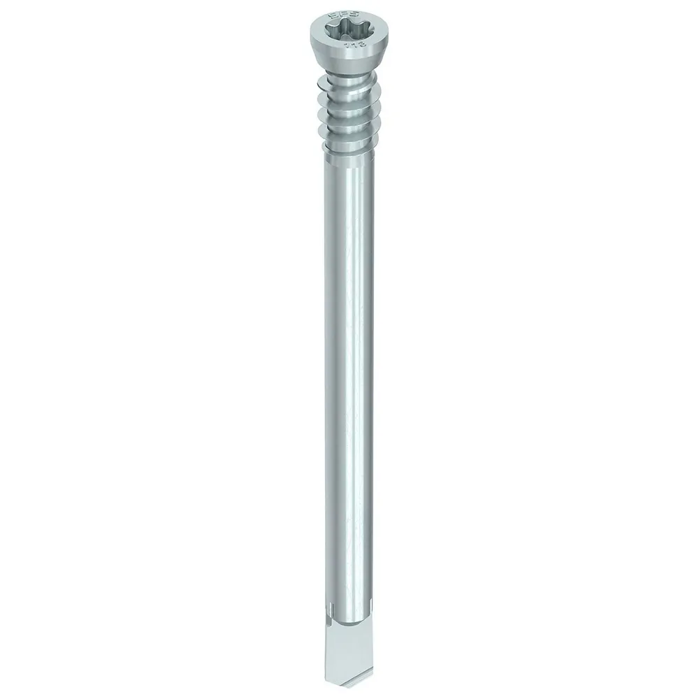 HECO-WS Holzbauschraube WS-T, Zylinder-Senkkopf, T-Drive, UK-Gewinde, Stahl verzinkt Produktbild img1 L
