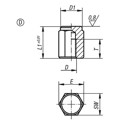 Produktbild von KIPP - POSITIONSFUß, G=M08, FORM:D, AUTOM.STAHL BRÜN. U. EINSATZGEHÄRTET, SW=17